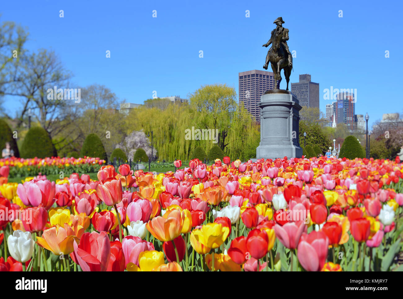 Boston Public Garden Tulpen und George Washington Statue im Frühjahr Stockfoto