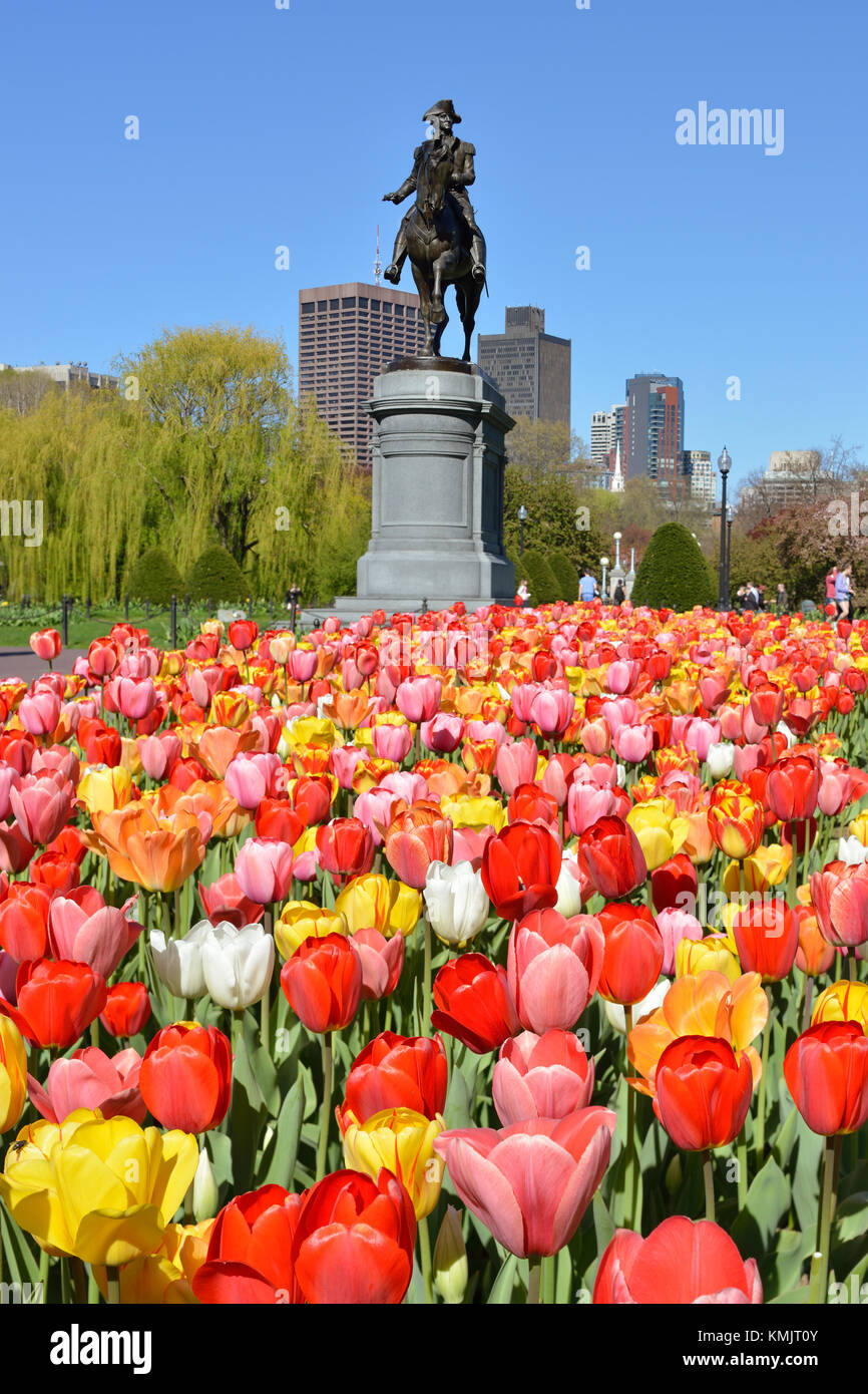 George Washington Statue und bunte Tulpen in Boston Public Garden Stockfoto