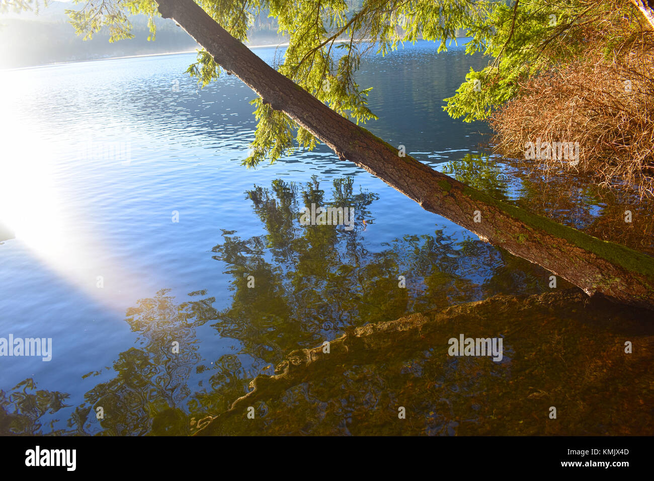 Sonnenlicht glitzert über Lake Samish, während ein Baum im Wasser unten reflektiert wird. Lake Samish ist ein Park in Bellingham, Washington, USA. Stockfoto
