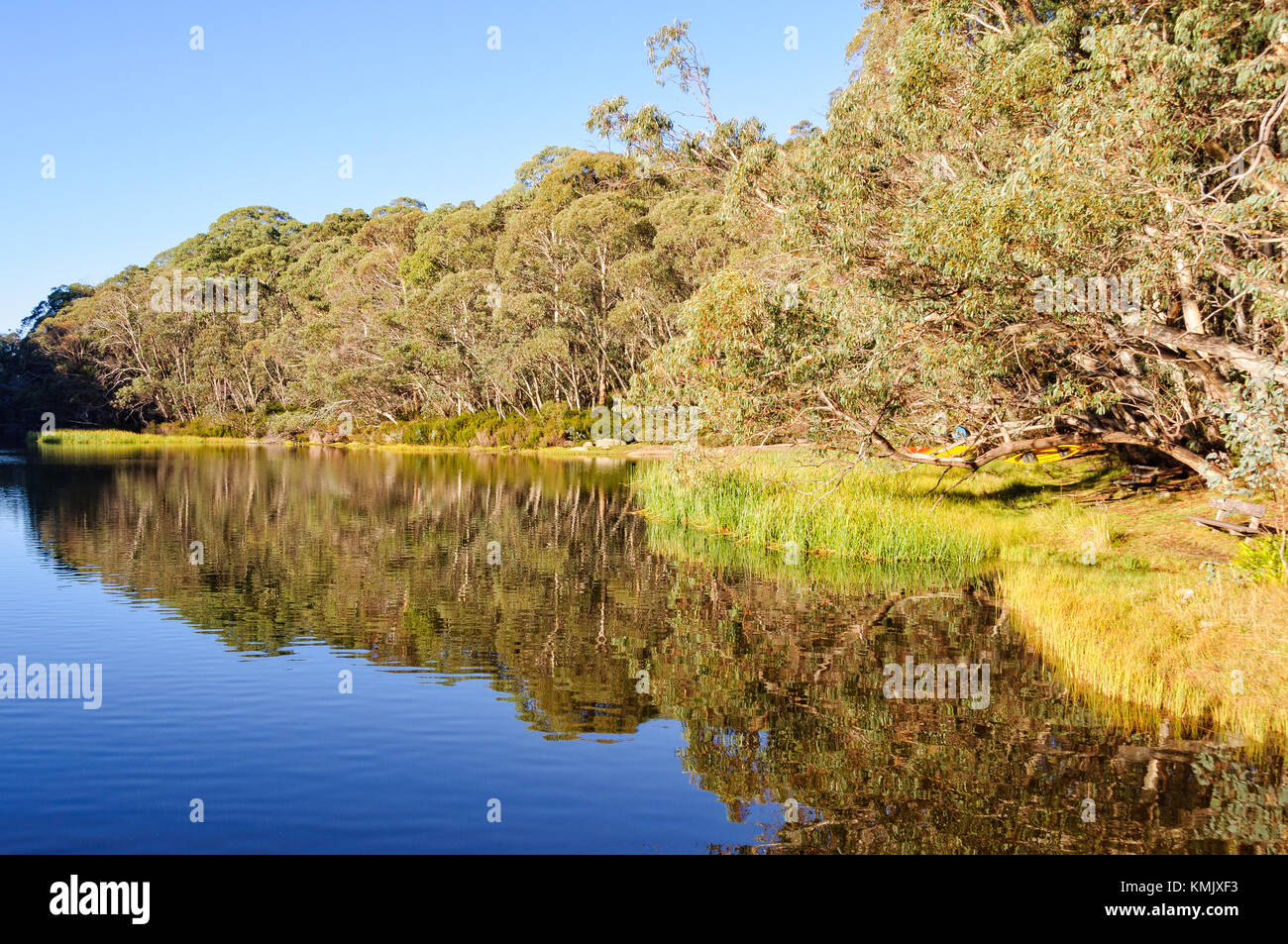 Reflexion im ruhigen Wasser des Lake Catani in der Mount Buffalo National Park, Victoria, Australien Stockfoto