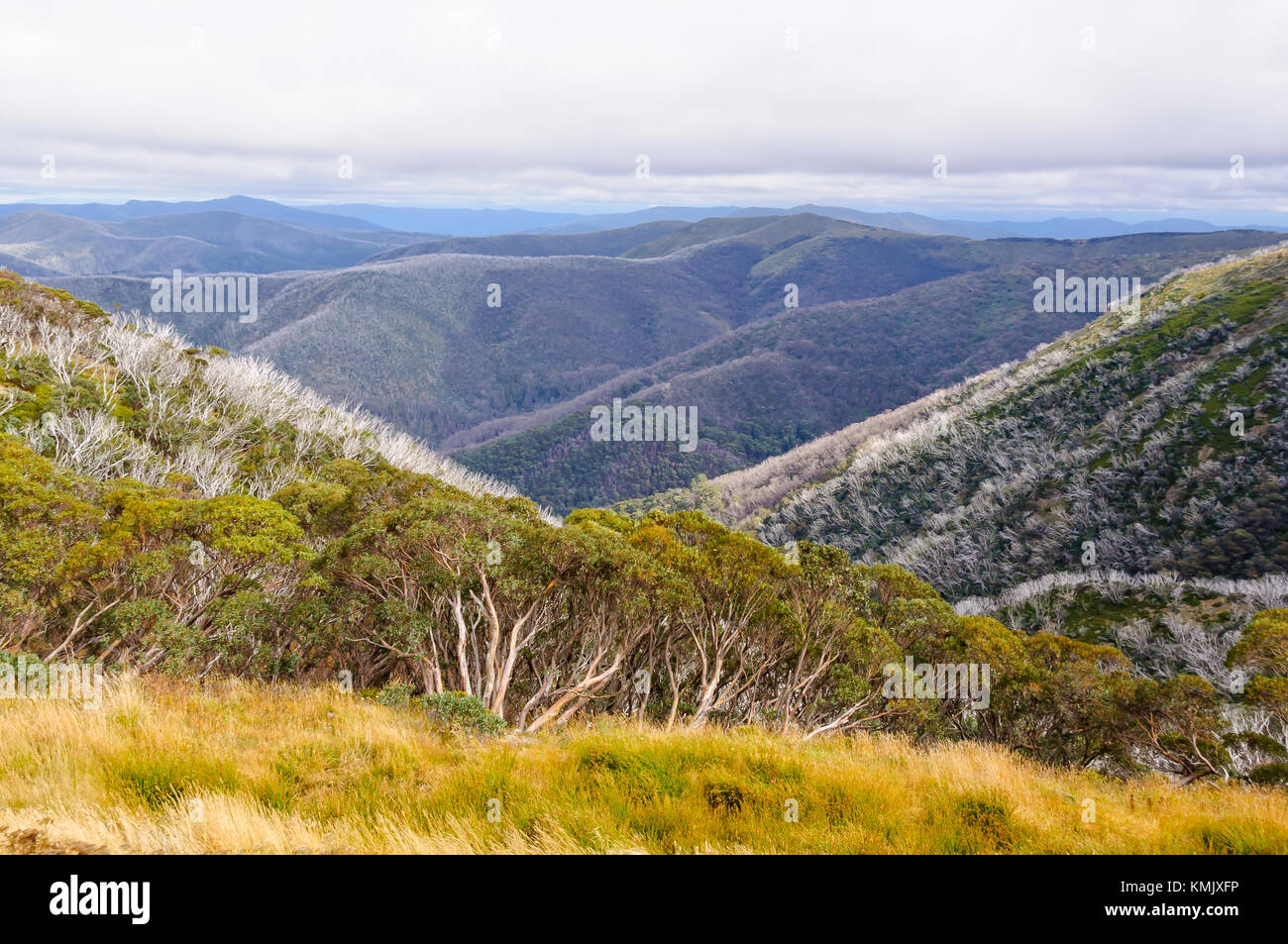 Herbst Blick auf die Alpine Region - Hotham Höhen, Victoria, Australien Stockfoto