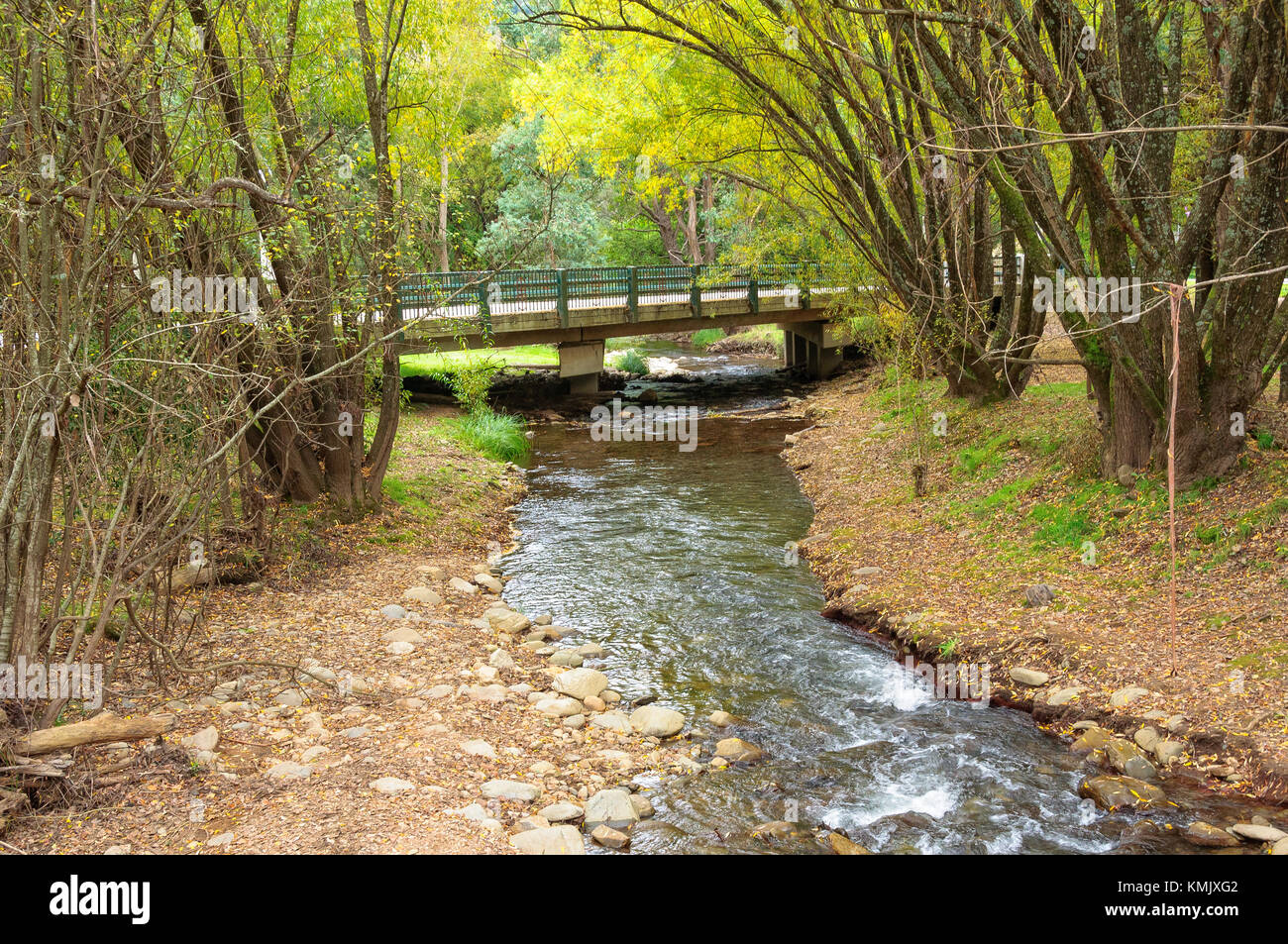 Flache Öfen Fluss im Herbst - Harrietville, Victoria, Australien Stockfoto