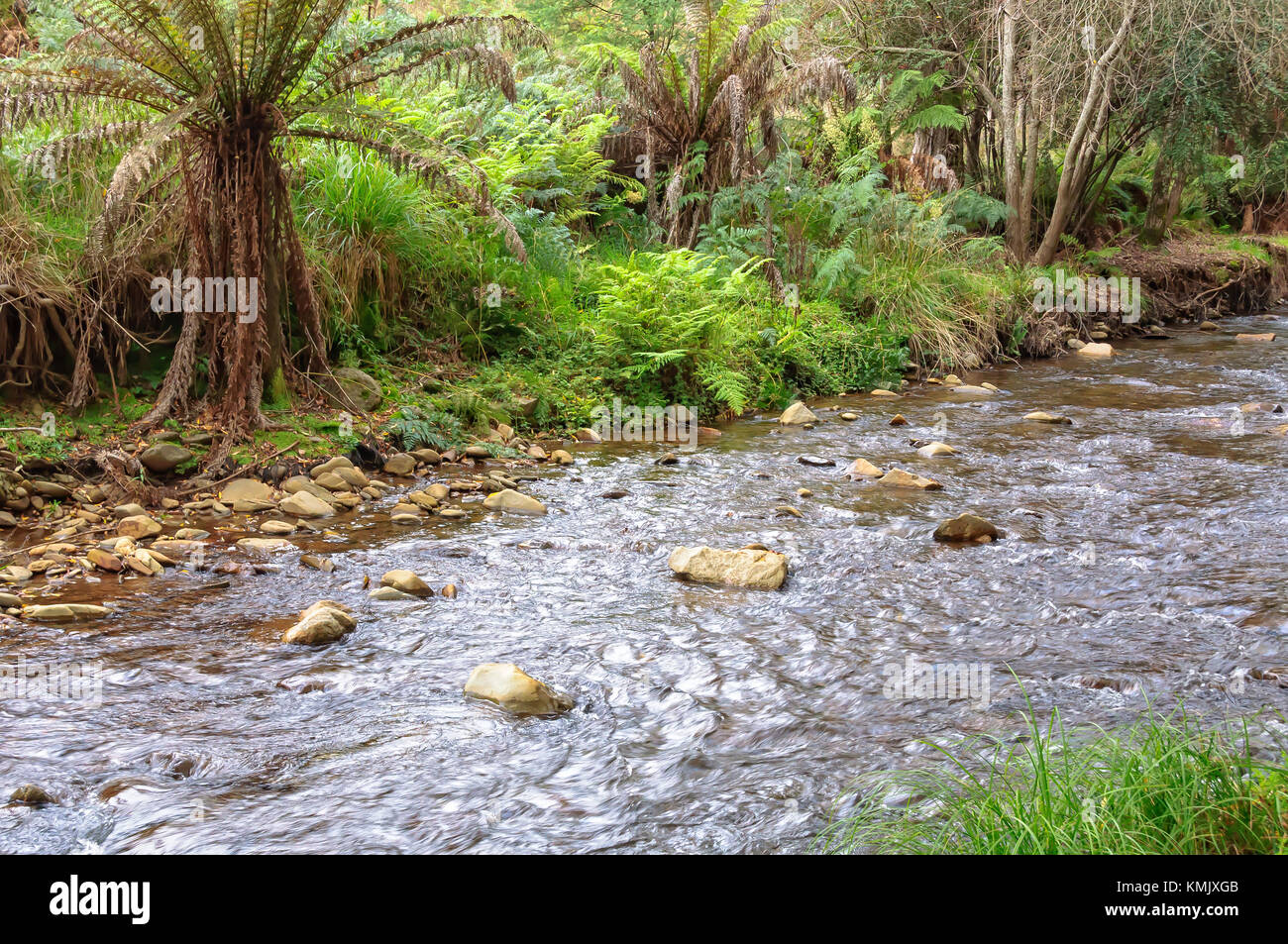 Flache Öfen Fluss im Herbst - Harrietville, Victoria, Australien Stockfoto