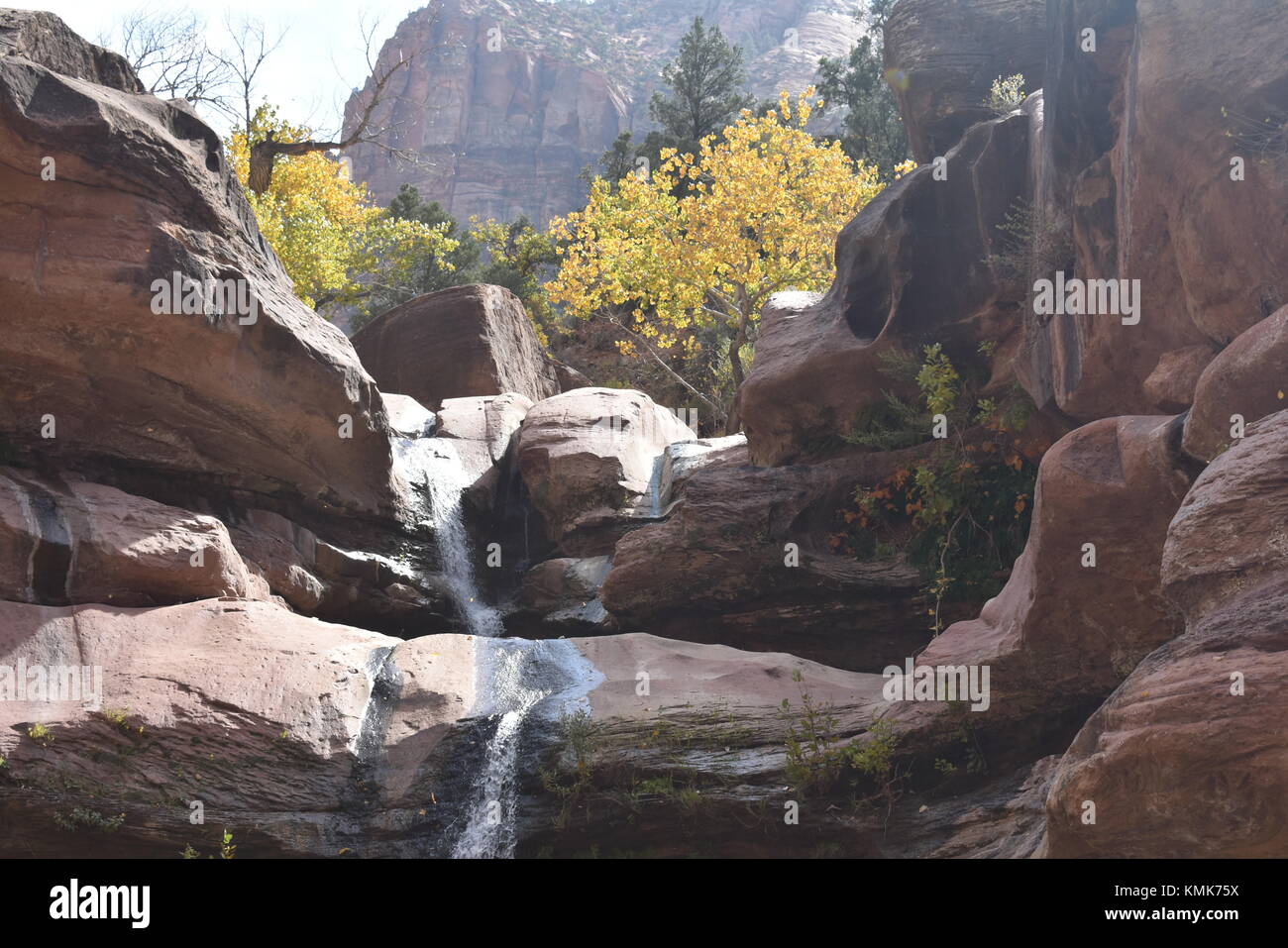 Box Canyon im südlichen Utah Stockfoto