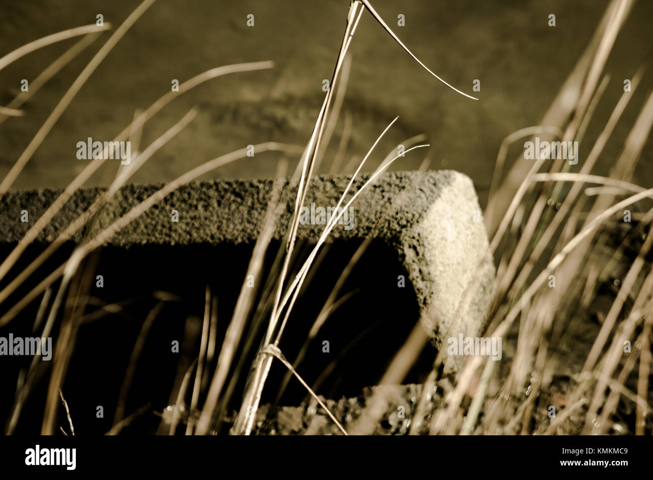 Leben in Virginia Stockfoto