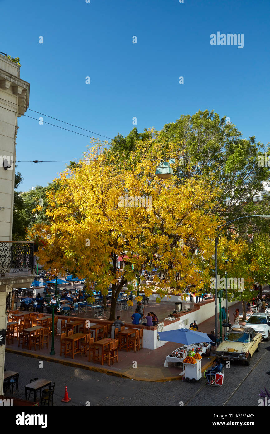 Herbst Farbe in Plaza Dorrego, San Telmo, Buenos Aires, Argentinien, Südamerika Stockfoto
