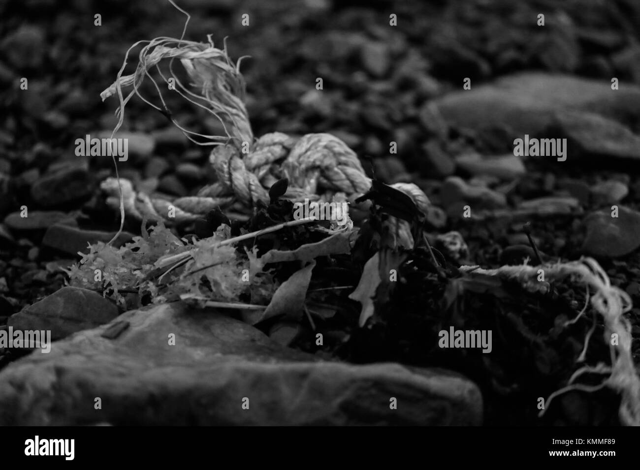 Angeschwemmte Seil, woher kam es? Stockfoto