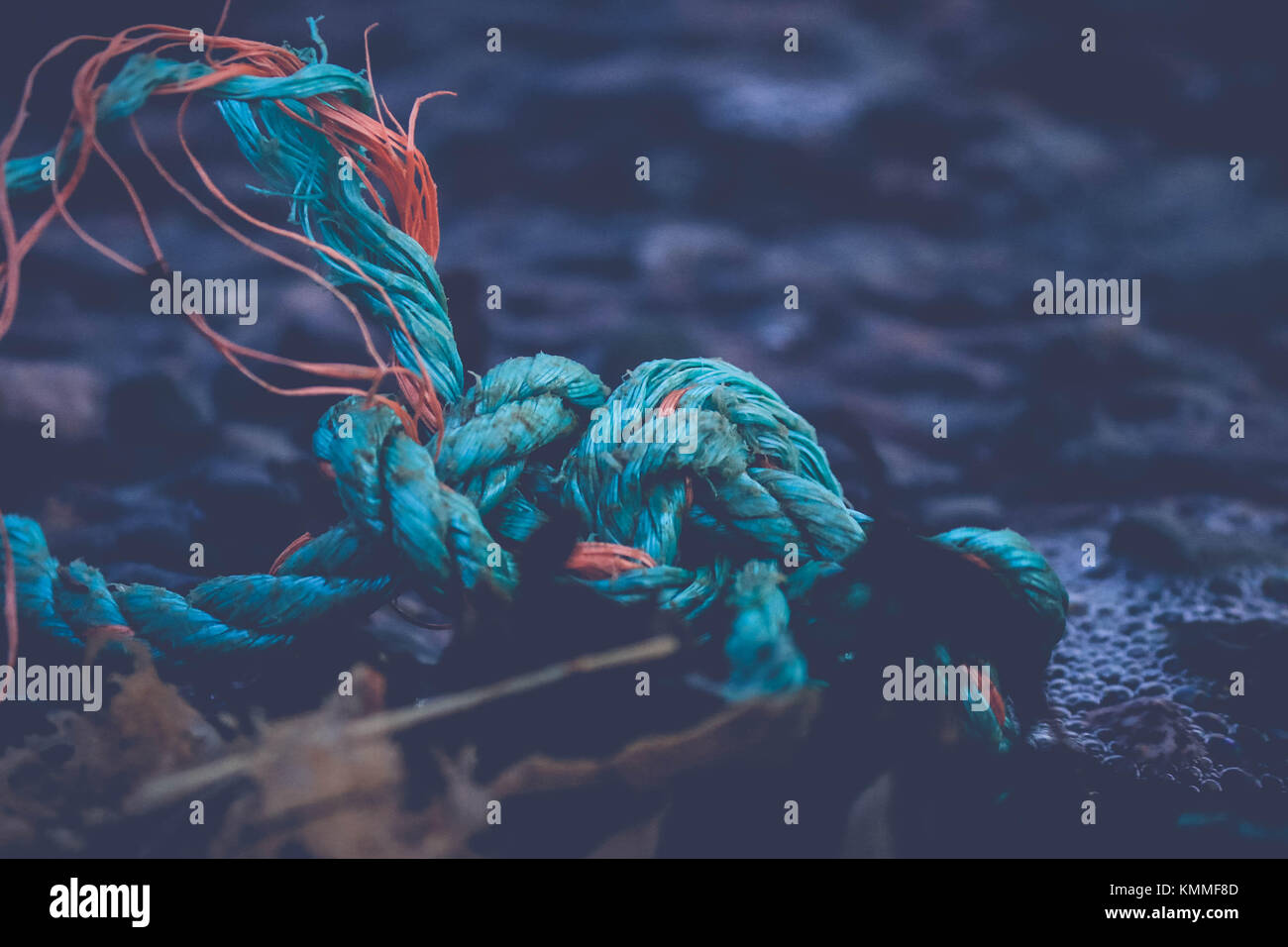 Angeschwemmte Seil, woher kam es? Stockfoto