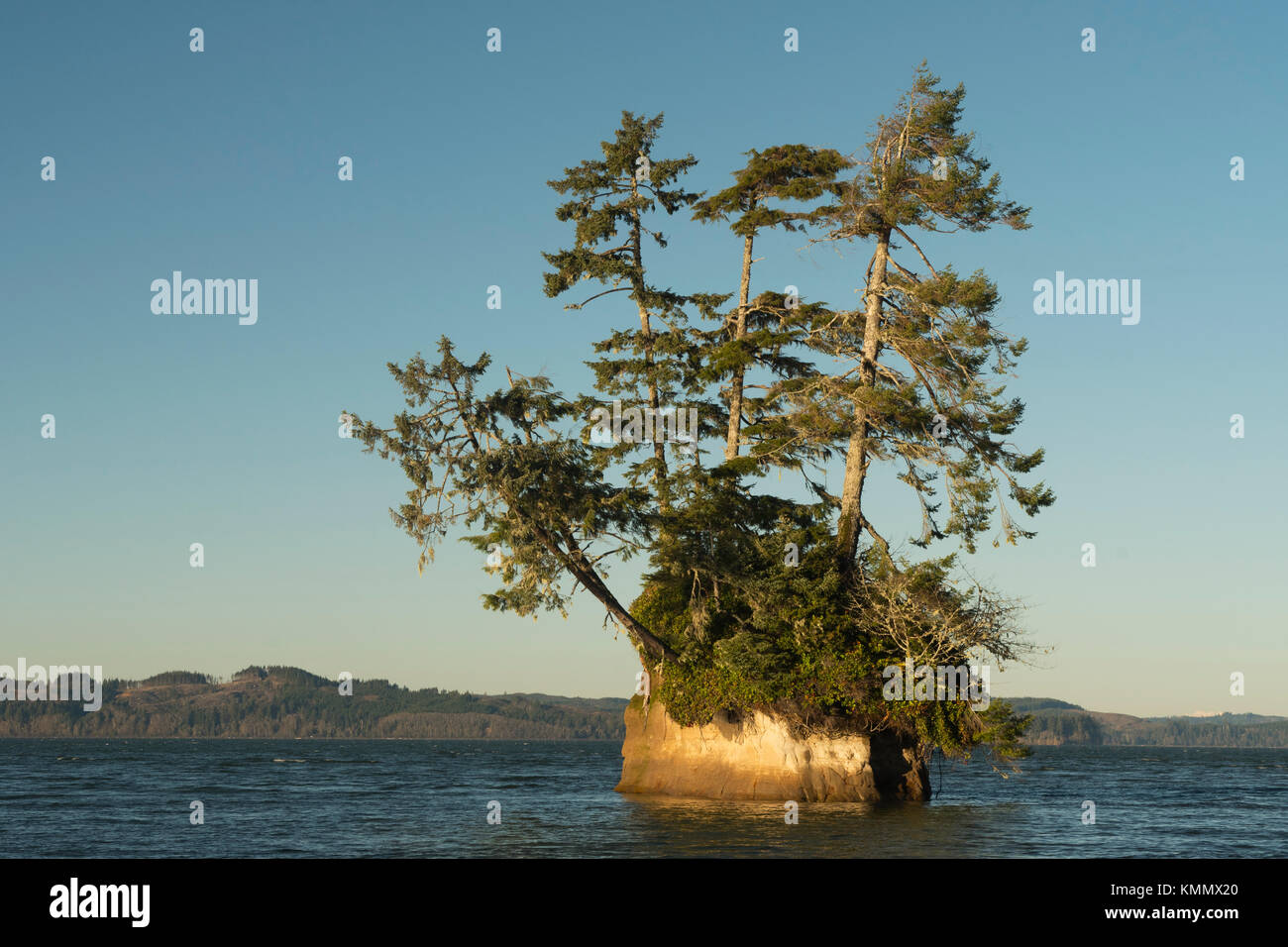 Baumbestandenen Insel, Willapa Bay, Washington Stockfoto