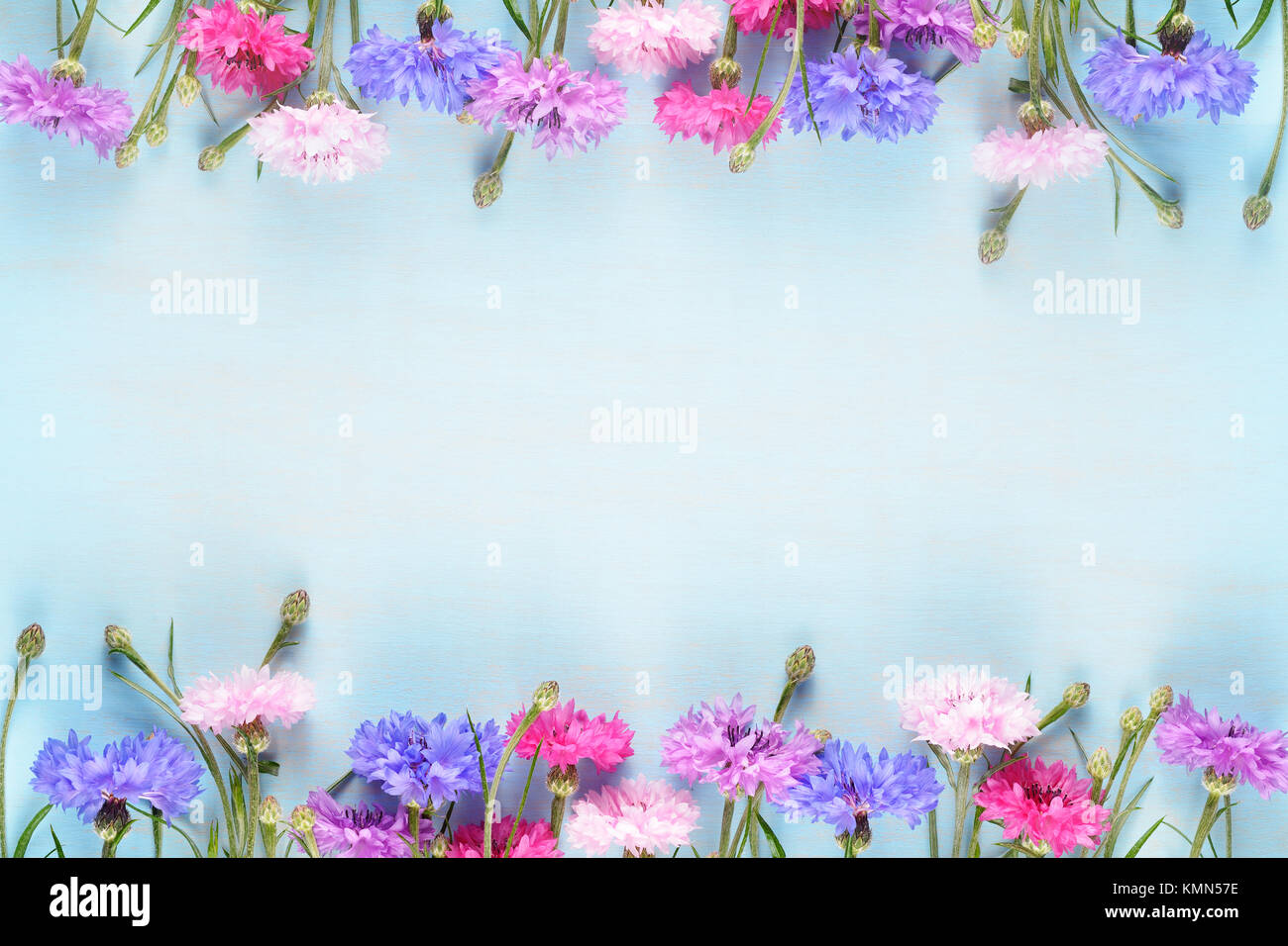 Kornblumen auf blauem Hintergrund mit copy-Raum Stockfoto