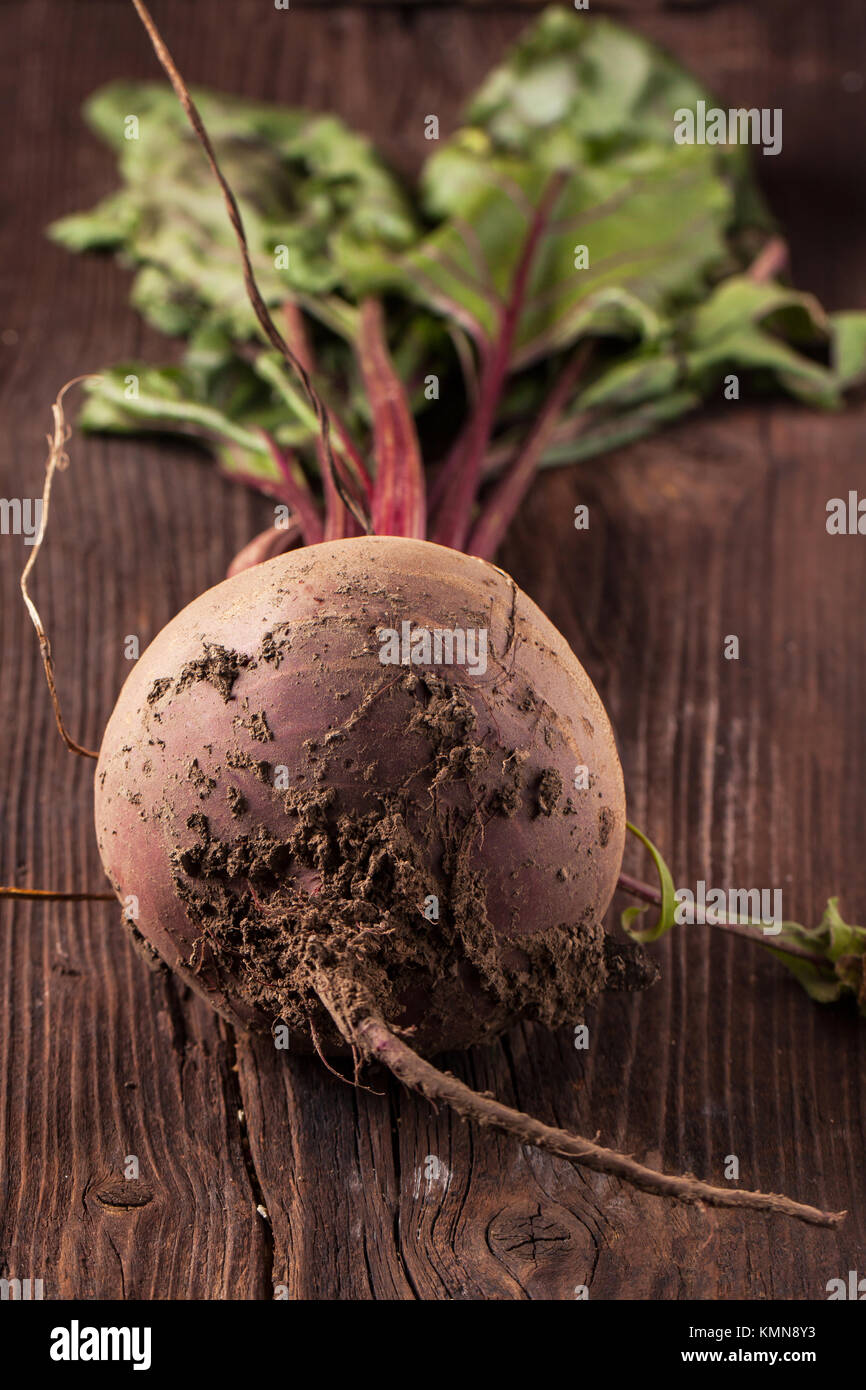 Rote Beete mit Erde auf hölzernen Hintergrund Stockfoto