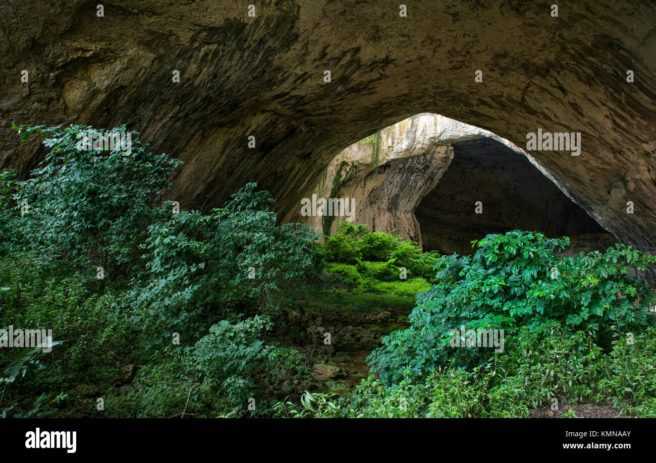 Riesige Höhle mit Löchern auf der Oberseite und Büsche im Inneren Stockfoto