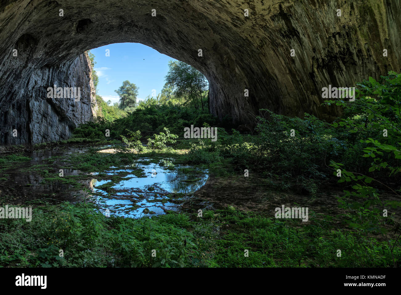 Höhleneingang mit Bäumen und dem Fluss innerhalb und blauer Himmel Stockfoto