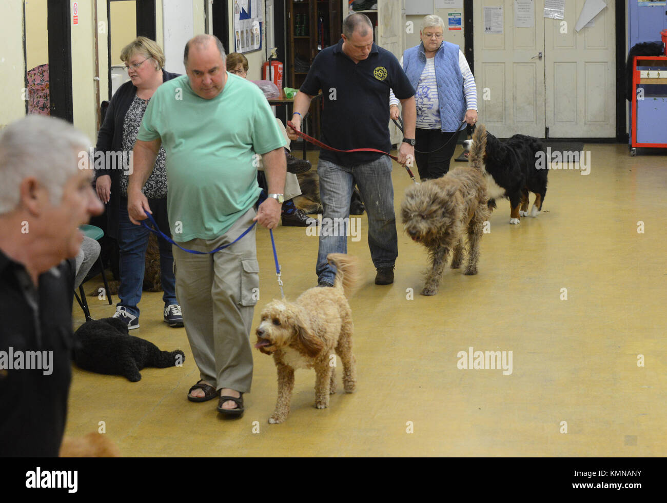 Abgebildet sind Leute mit Hunden an der Leine bei einem Hund Ausbildung Klasse. Stockfoto