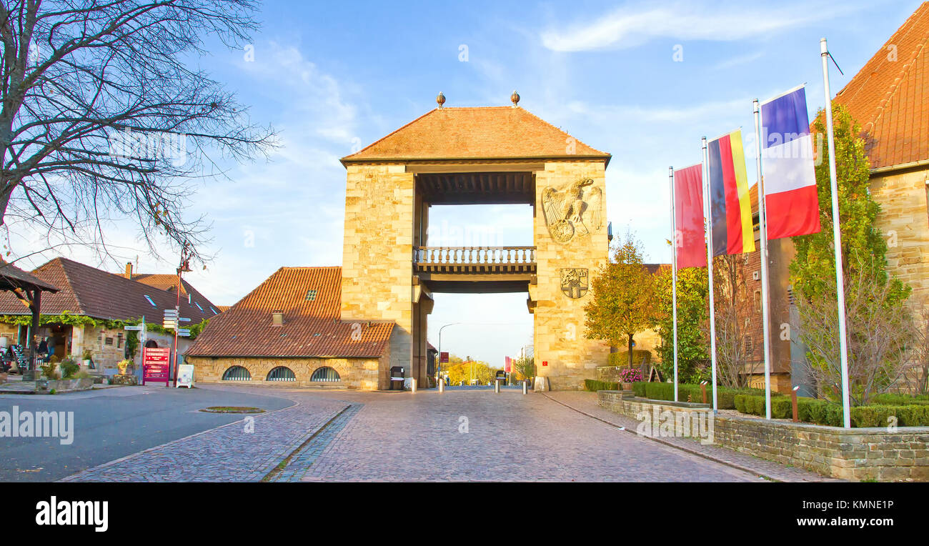 Herbst in der Pfalz, Deutschland Stockfoto