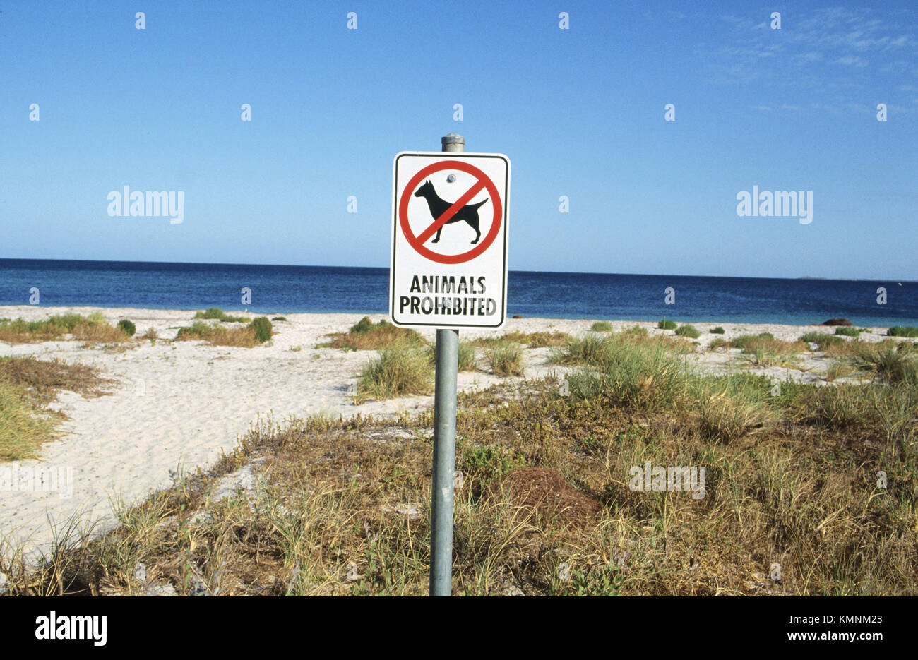 Tiere verboten Schild am Strand Stockfoto