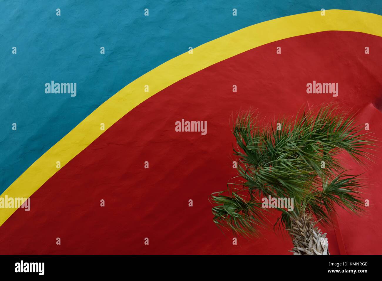 Single Palm Tree gegen einen roten und blauen Hintergrund mit einem gebogenen gelben Streifen Stockfoto