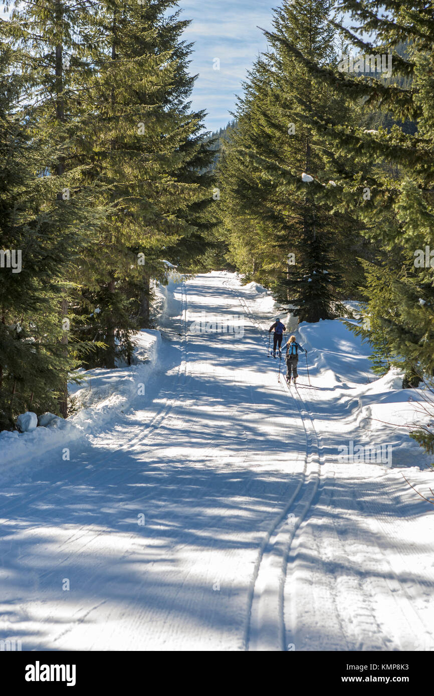 Langläufer in der Zentralen Cascade Mountains, Washington Satte, USA. Stockfoto