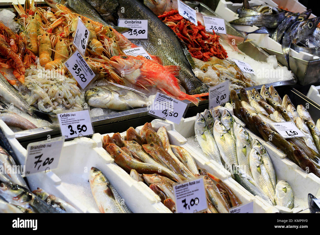 Frische Fische auf dem Display bereit zum Verkauf auf dem Markt der Stadt. Stockfoto