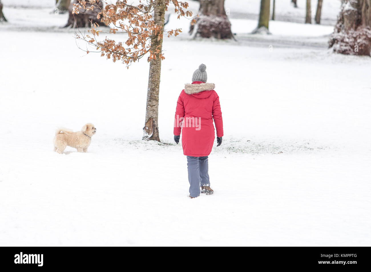 Lisburn, Großbritannien. 9. Dezember, 2017. Die Leute, die ihre Hunde zu einem Spaziergang in Wallace Park, Lisburn, ob Spaziergang mit dem Hund oder Kinder genießen Sie das winterliche Wetter Credit: Bonzo/Alamy leben Nachrichten Stockfoto
