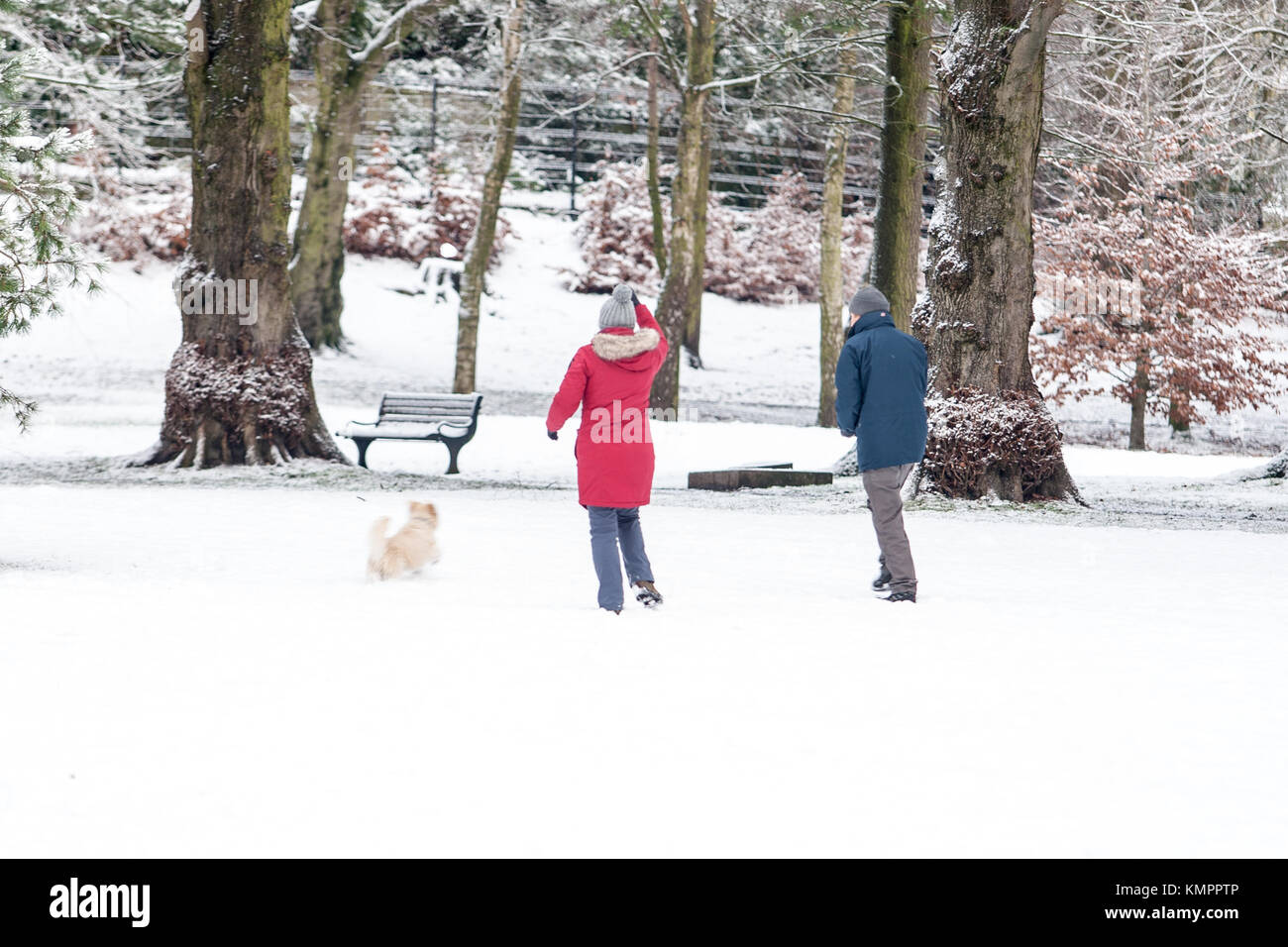 Lisburn, Großbritannien. 9. Dezember, 2017. Die Leute, die ihre Hunde zu einem Spaziergang in Wallace Park, Lisburn, ob Spaziergang mit dem Hund oder Kinder genießen Sie das winterliche Wetter Credit: Bonzo/Alamy leben Nachrichten Stockfoto