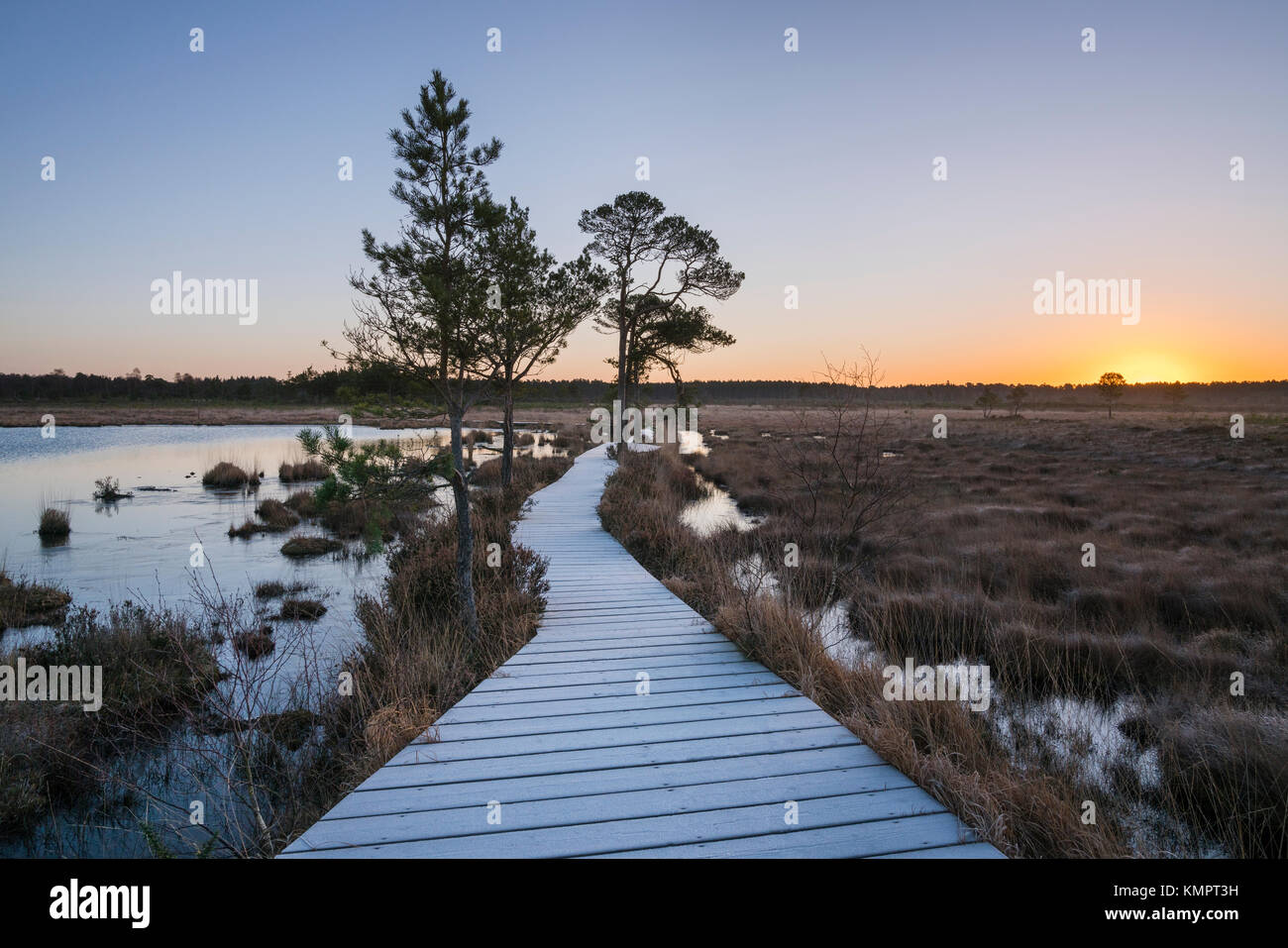 Thursley Gemeinsame, Surrey, Großbritannien. 09 Dez, 2017. Frost auf der hölzernen stabrost Weg durch Thursley Gemeinsame in Surrey, England wie die Sonne erhebt sich auf einem kalten Dezember Morgen. Am Samstag, den 9. Dezember 2017. Credit: RTimages/Alamy leben Nachrichten Stockfoto