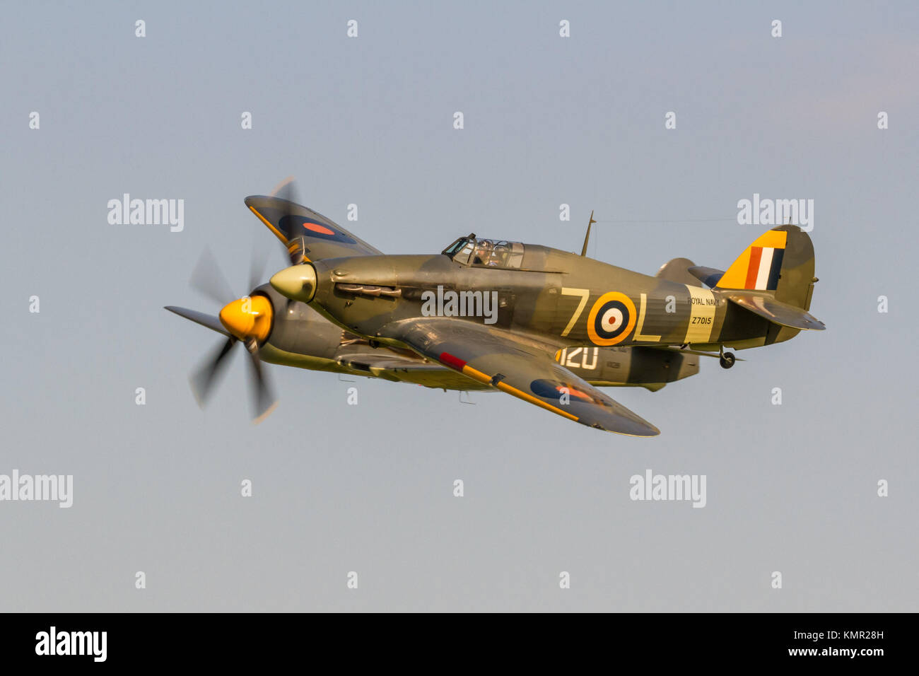 Hawker Sea Hurricane und Hawker Sea Fury in sehr engen Formation an der Shuttleworth Collection Abend fliegen Juli 2013 fliegen Stockfoto