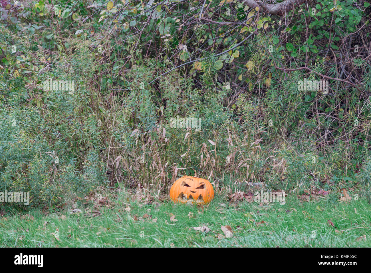 Halloween Kürbis Verlegung an der Seite der Straße in Montauk verworfen, NY Stockfoto