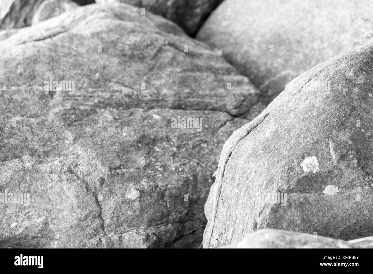 Detail der Felsbrocken in East Hampton, New York Stockfoto