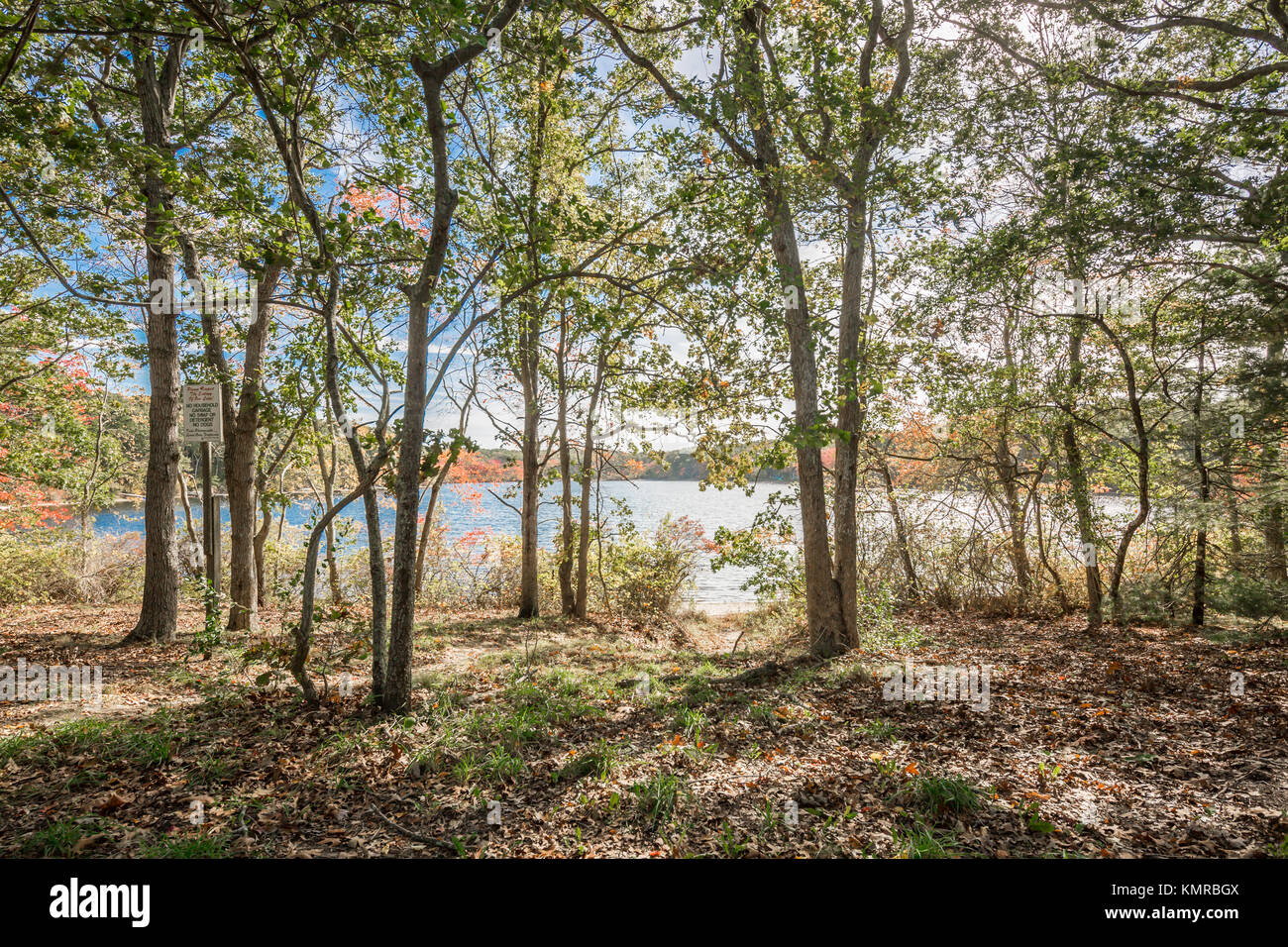 Landschaft mit Wasser in Southampton, NY Stockfoto