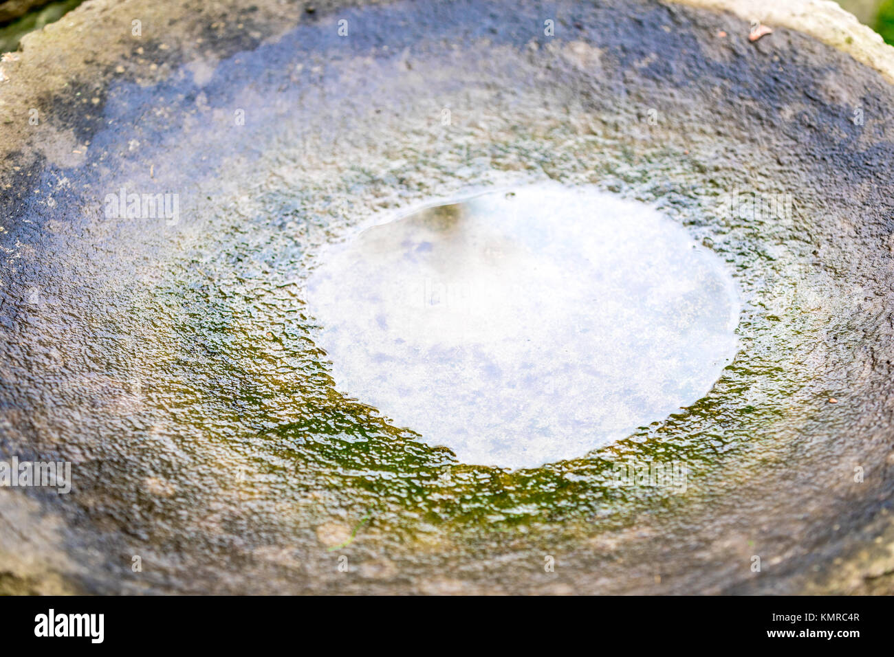 Das restliche Wasser in einem Stein Vogelbad Stockfoto
