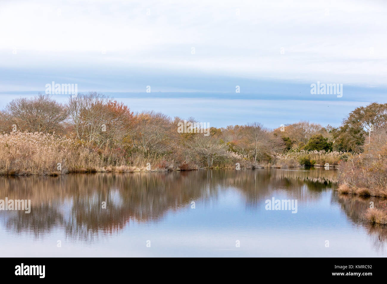 Ende Herbst Landschaft in East Hampton, New York Stockfoto