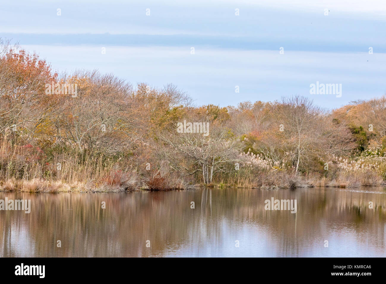 Ende Herbst Landschaft in East Hampton, New York Stockfoto
