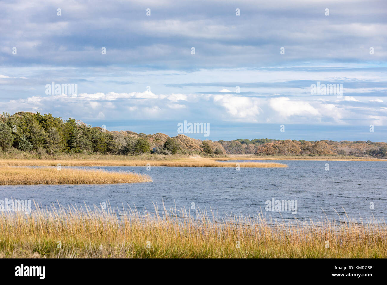 Landschaft mit Wasser in Southampton, NY Stockfoto