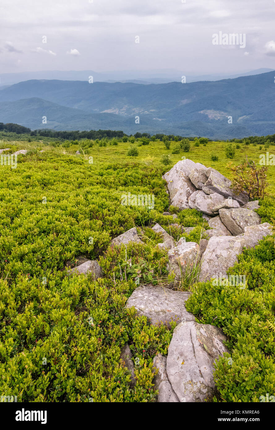 Felsige Anordnung auf einem grasigen Hang in den Bergen. schöne Natur Landschaft an einem bewölkten Sommertag Stockfoto