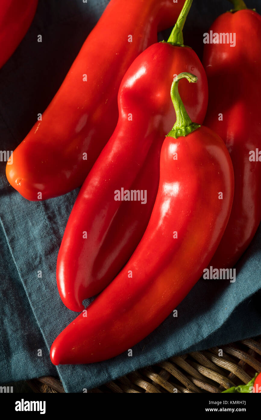 Raw Organic Süßen roten alten Paprika in einem Bündel Stockfoto
