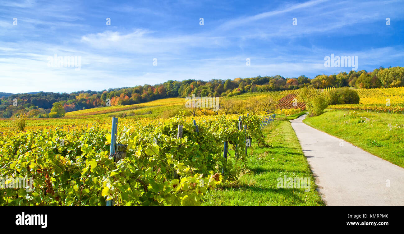Herbst in der Pfalz, Deutschland Stockfoto