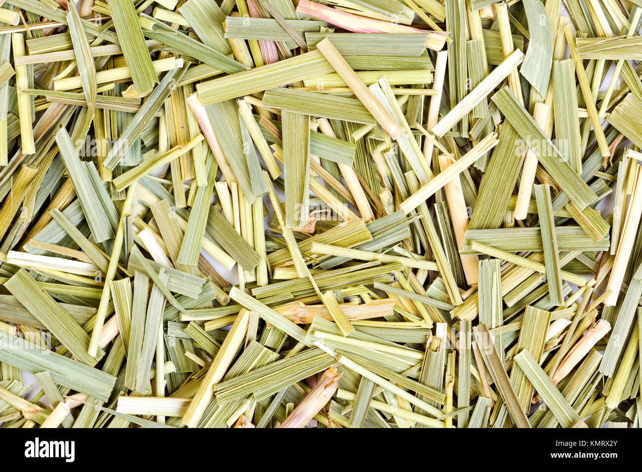 Sweetgrass für medizinische Zwecke. Nahaufnahme. Stockfoto