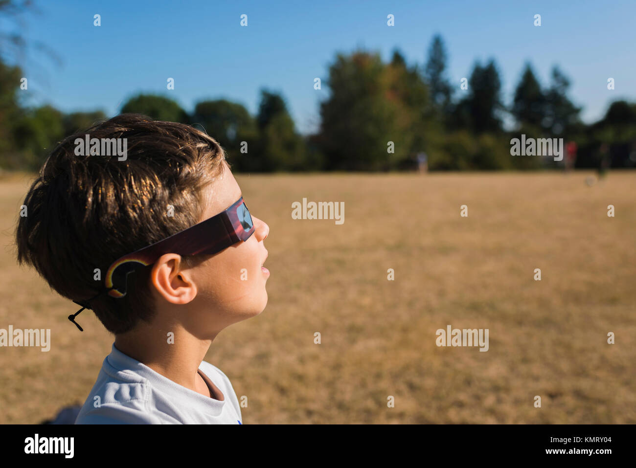 Seitenansicht des Jungen 3-D-Brille tragen, während Sie in das Feld Suchen während der sonnigen Tag Stockfoto