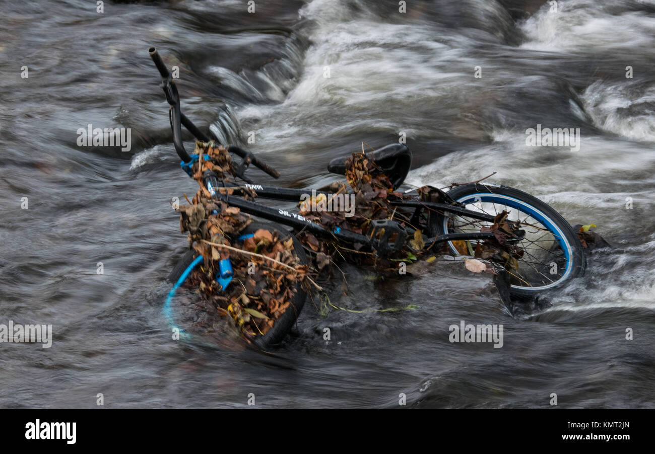 Seestücke/Landschaften Stockfoto
