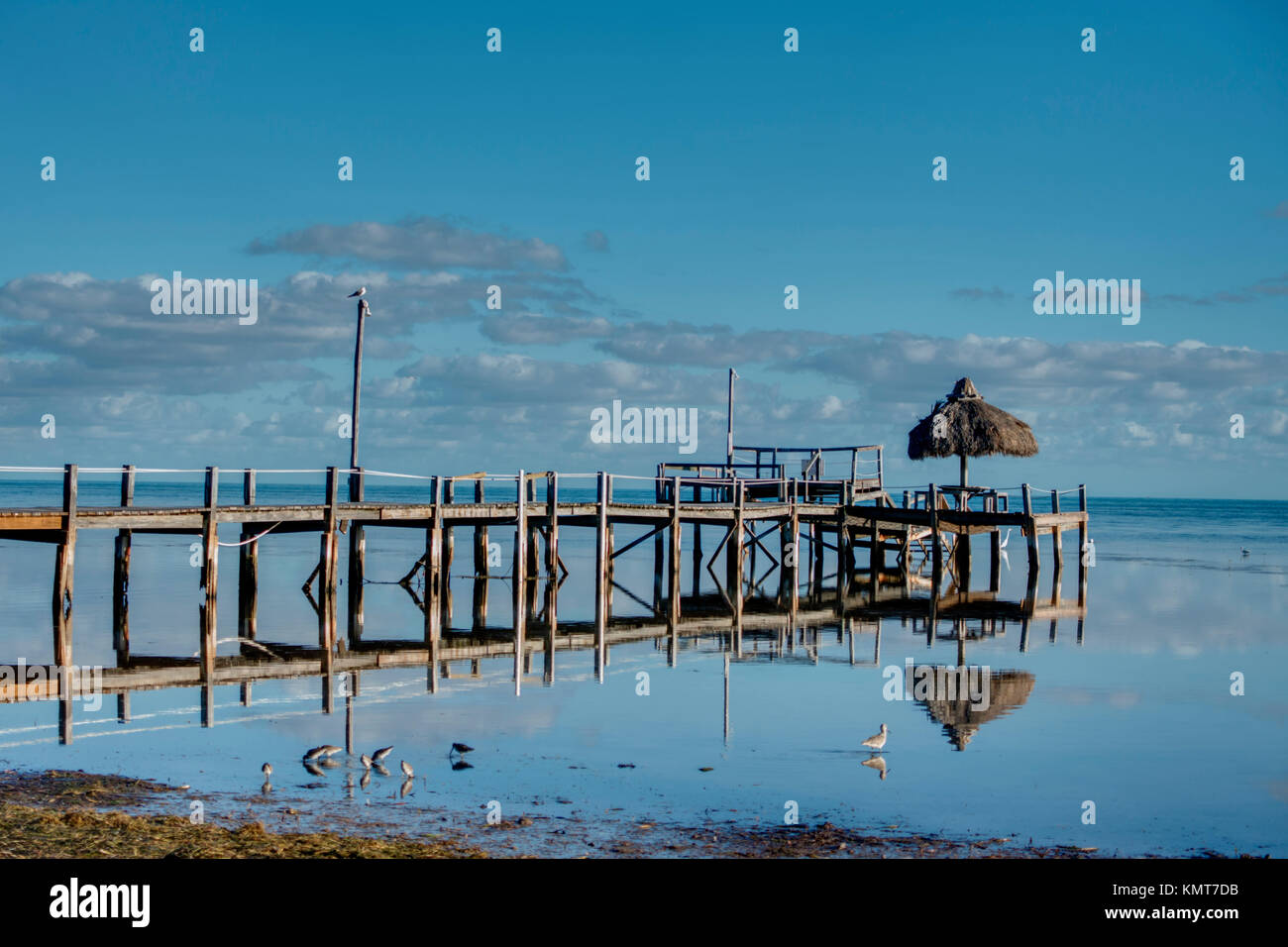 Florida Keys Stockfoto