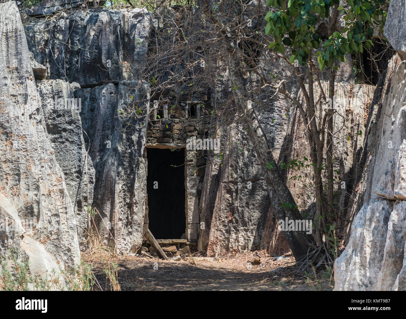 Eingang zu einer menschlichen Behausung in den Kalkstein an der Kleinen Tsingy gebaut. Tsingy de Bemaraha National Park. Madagaskar, Afrika. Stockfoto