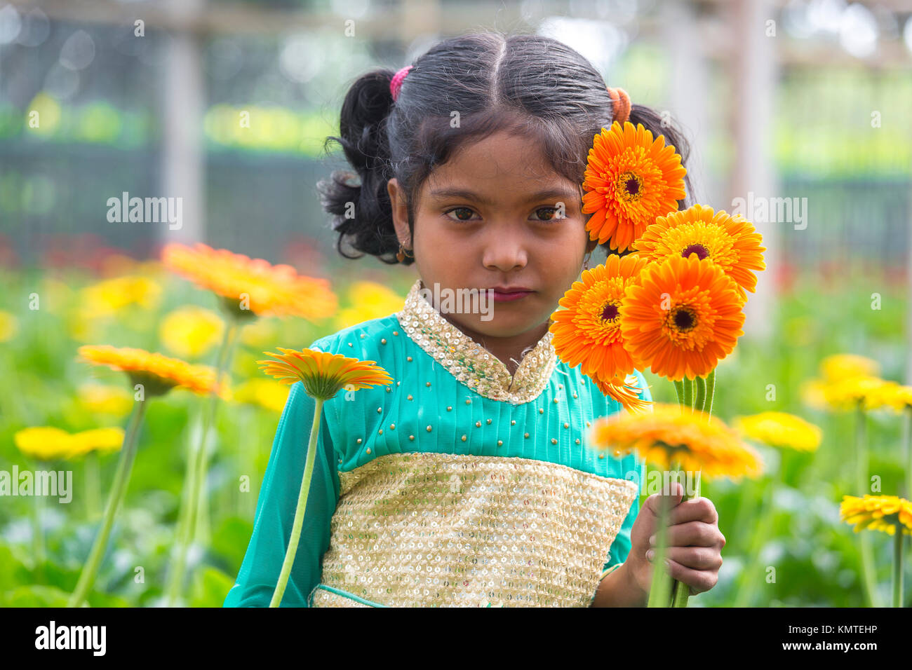 Ein Arbeiter Kinder handvoll Gerbera Blumen. Stockfoto