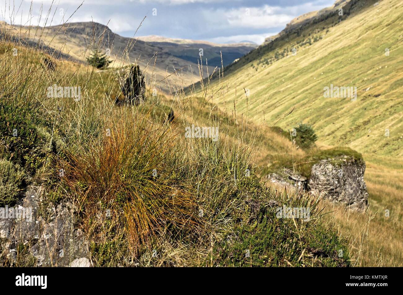 Highland Glen Croe Argyll, Schottland, Großbritannien. Stockfoto