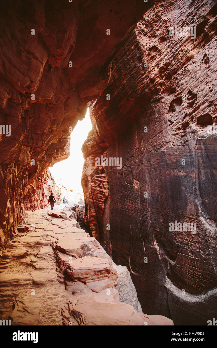 Ein Wanderer geht auf einem Felsen weg in einen Canyon mit schmalen roten Felswände im Zion National Park in Utah. Stockfoto