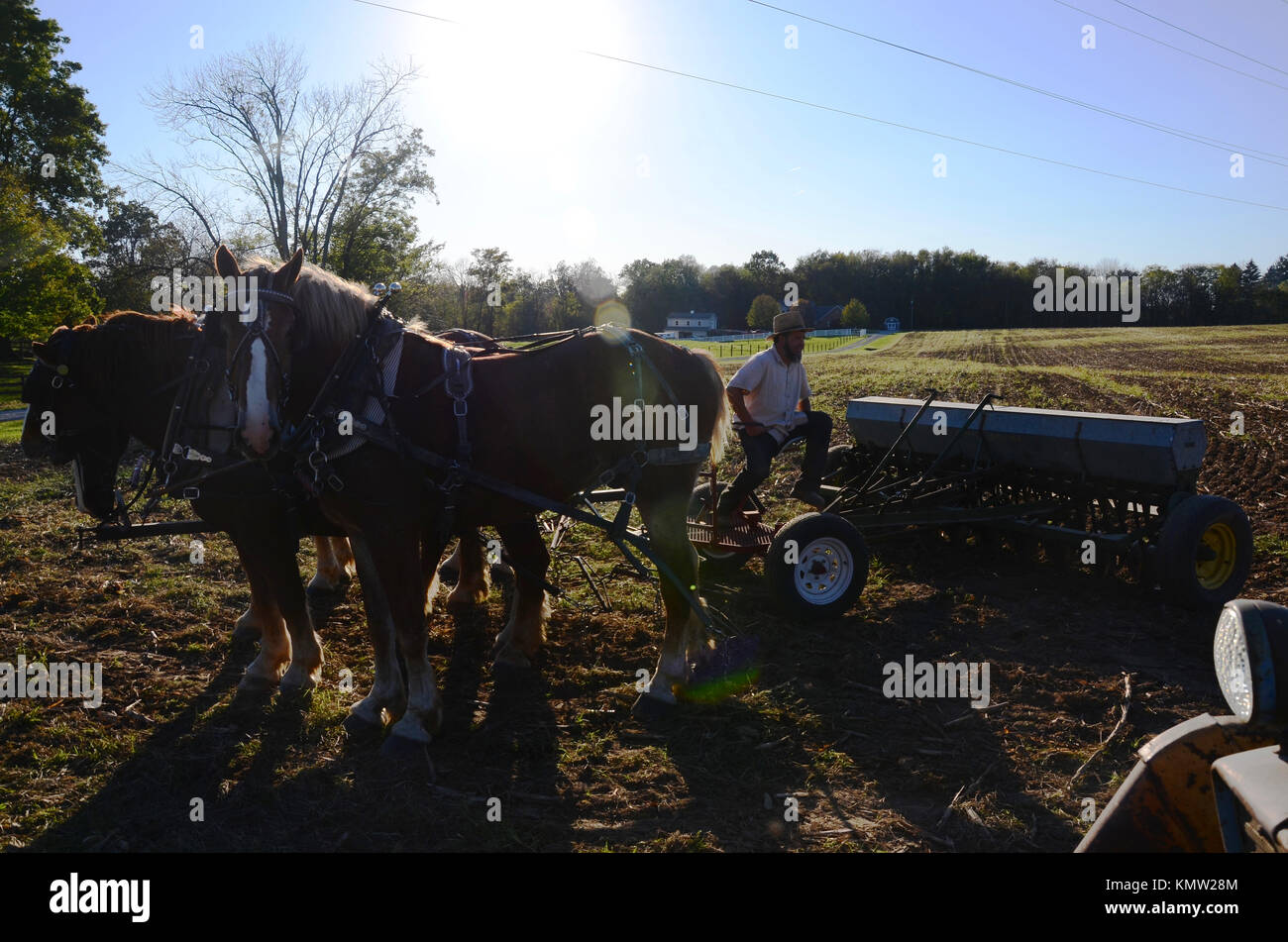 Amischen farmer pflügen Feld mit Team von vier Pferden, Holmes County, Ohio, USA Stockfoto