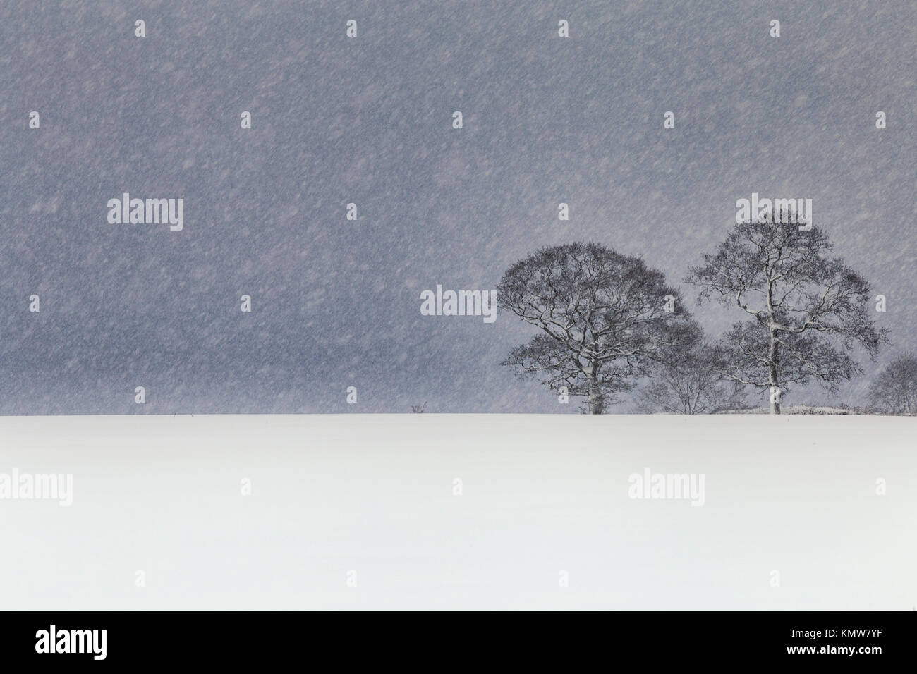 Starker Schneefall über malerische britische Landschaft Felder Stockfoto