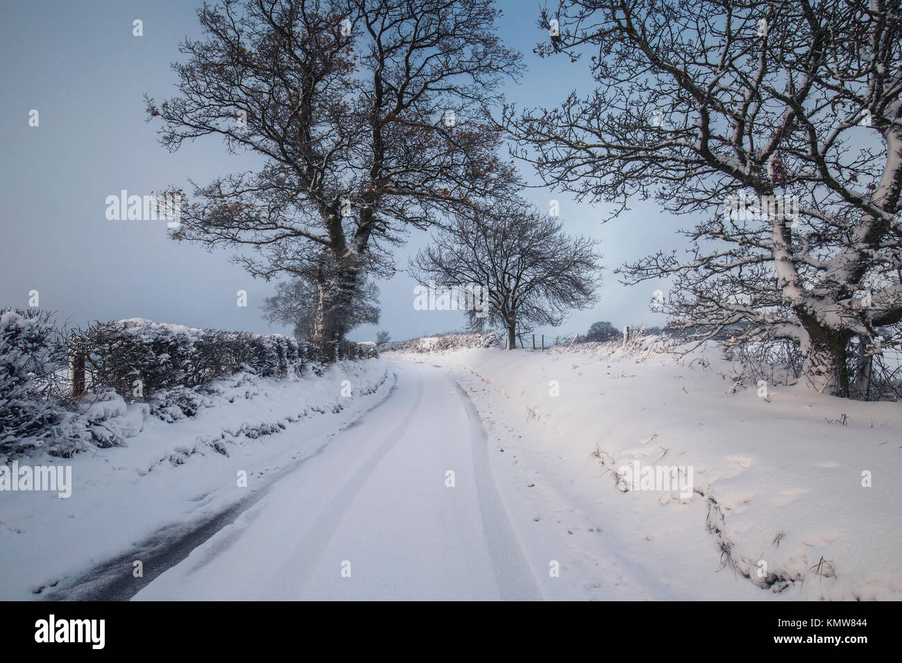 Britische Landschaft Weg und Bäume im Schnee auf dunklem Hintergrund des blauen Himmels abgedeckt Stockfoto
