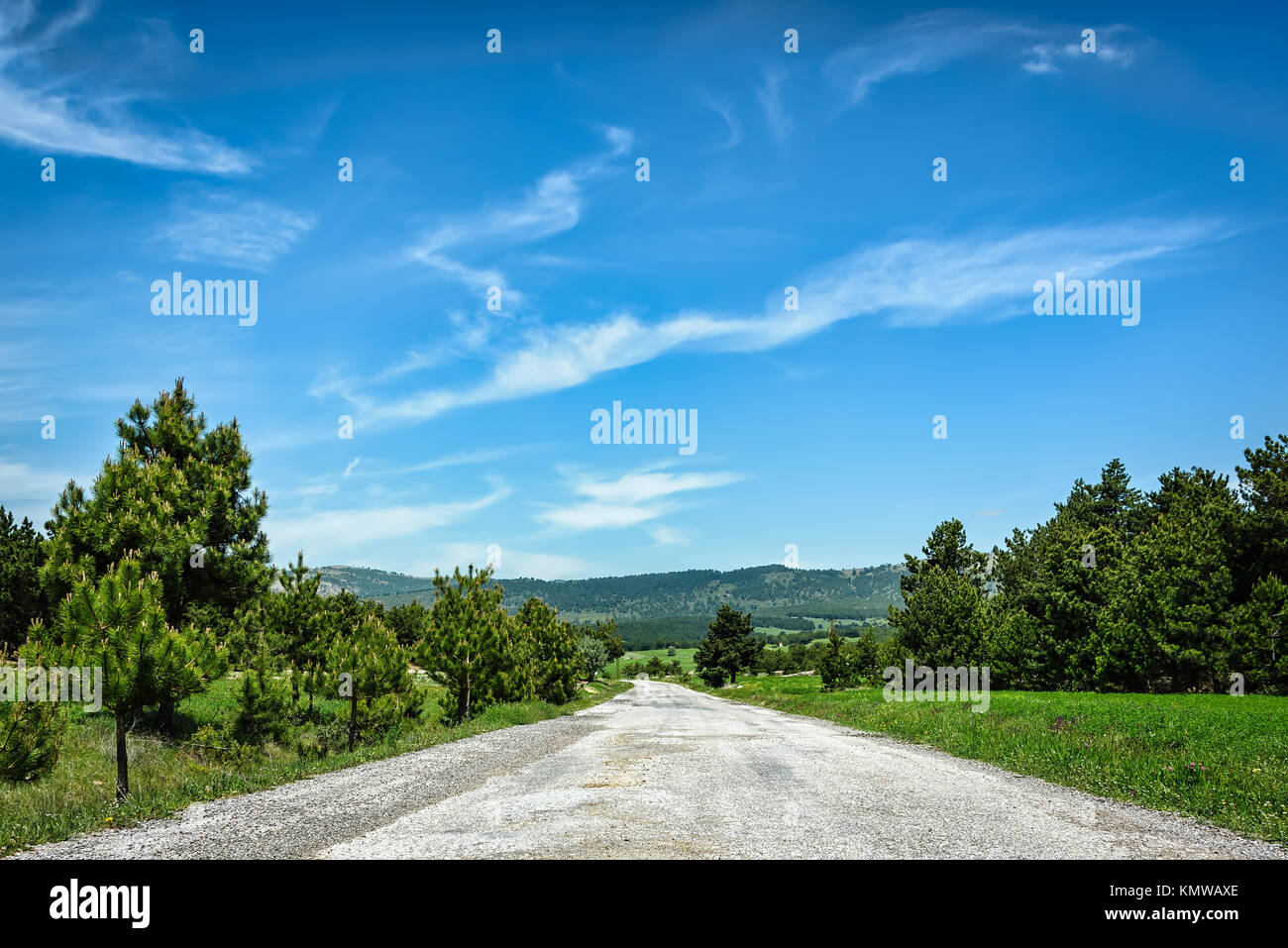 Straße in der grünen Landschaft unter blauem Himmel mit flauschigen weissen Wolken Stockfoto