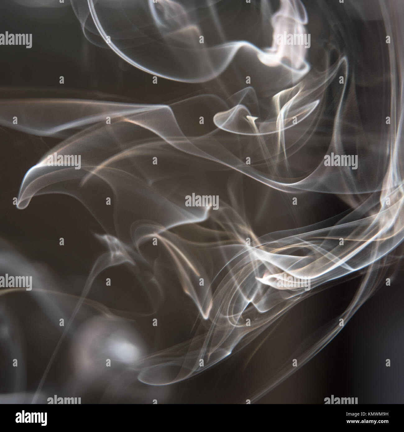 Schwarzen und weißen Hintergrund - weißer Rauch erzeugen eine zufällige Formen auf schwarzem Hintergrund Stockfoto